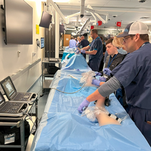 Mastering Regional Anesthesia Techniques