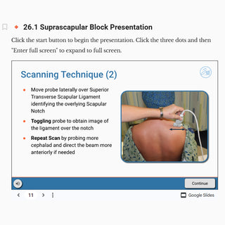 Chronic Pain: Ultrasound-Guided Injections (Online Only Didactic Modules)
